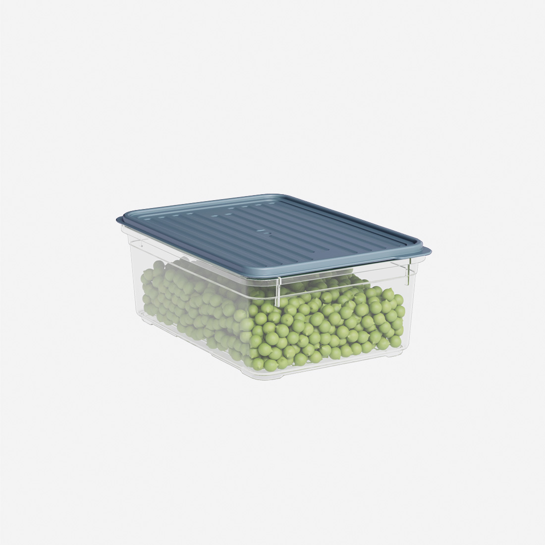 1650 ml Smart Container