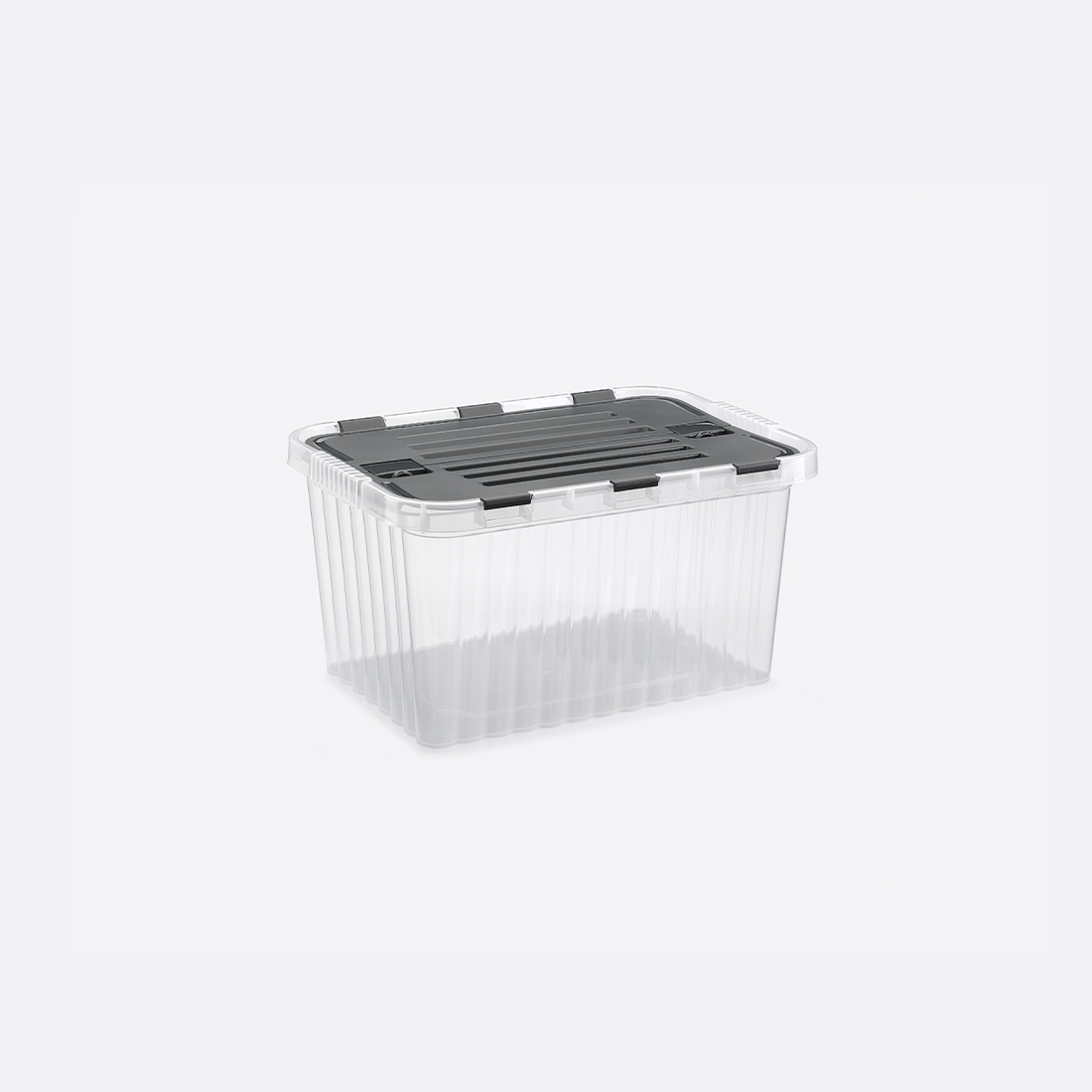 10 L Transparent Split Box