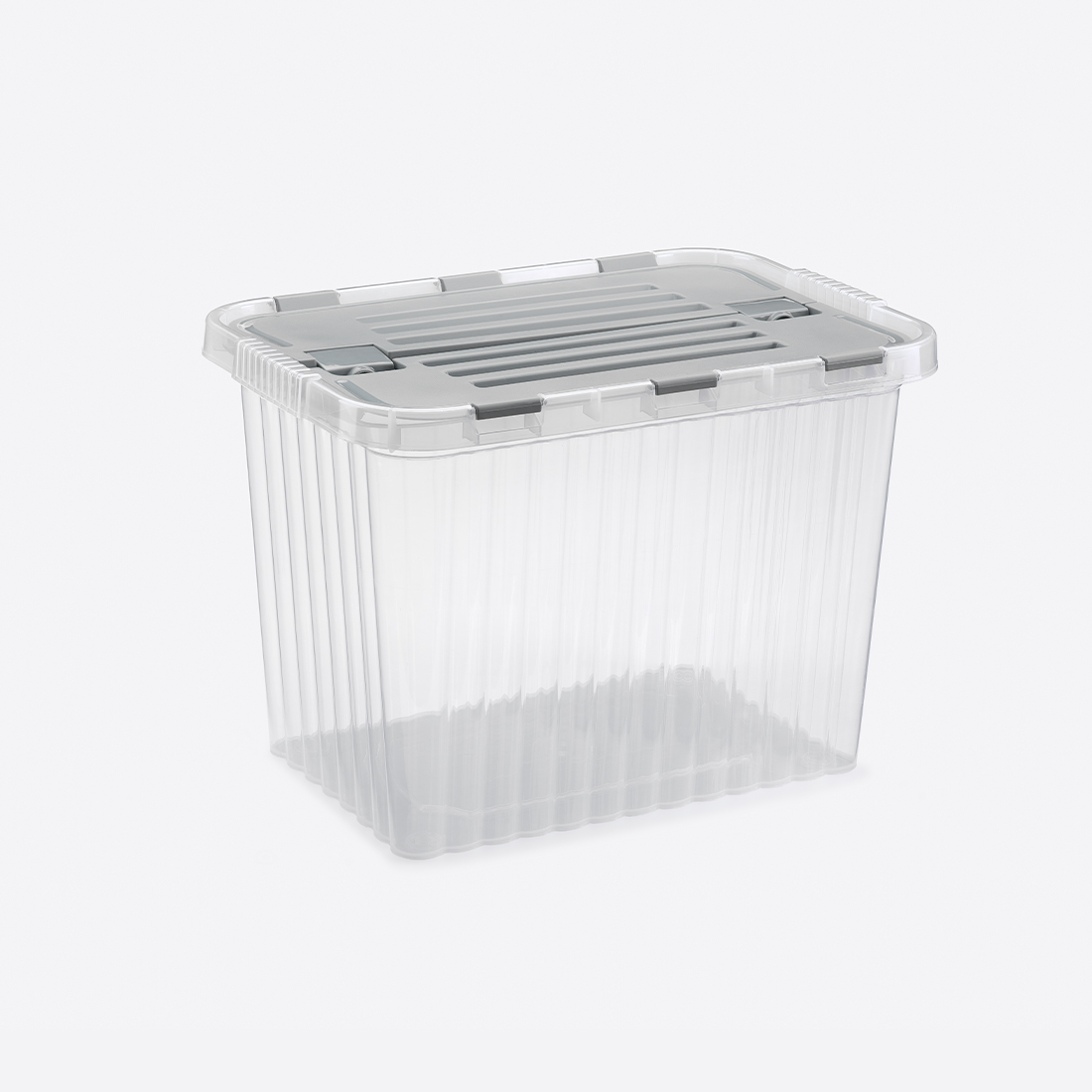 50 L Transparent Split Box