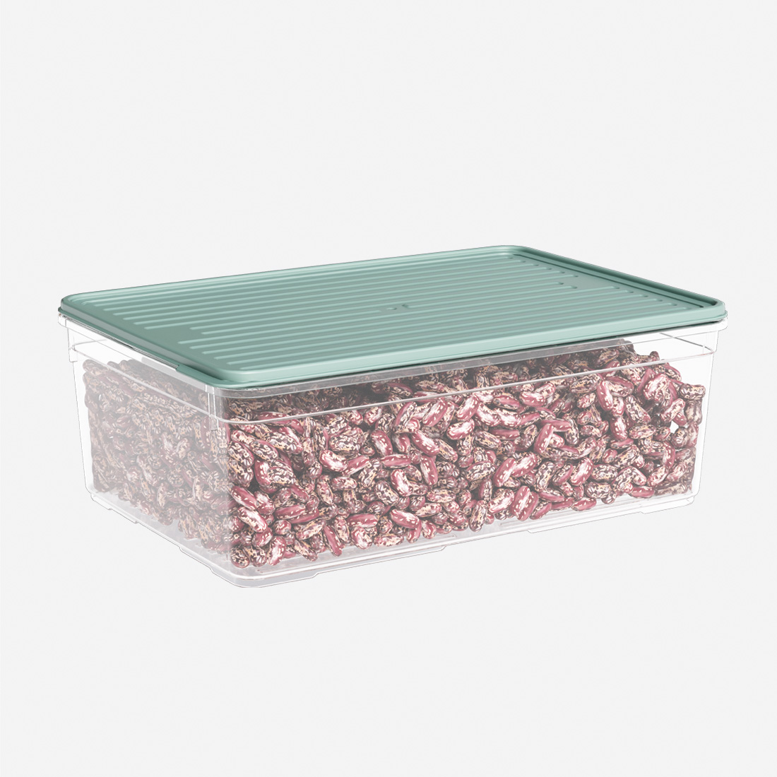 4300 ml Smart Container